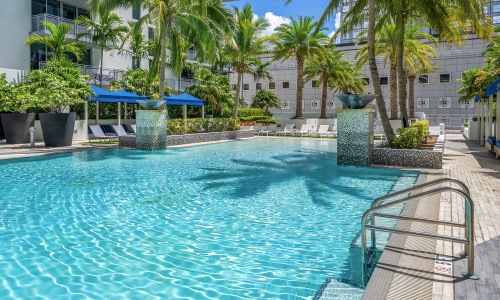 A Slower Pace in the Heart of Downtown Miami Cover Image