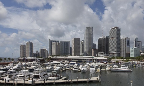 a marina with boats and a city in the background
