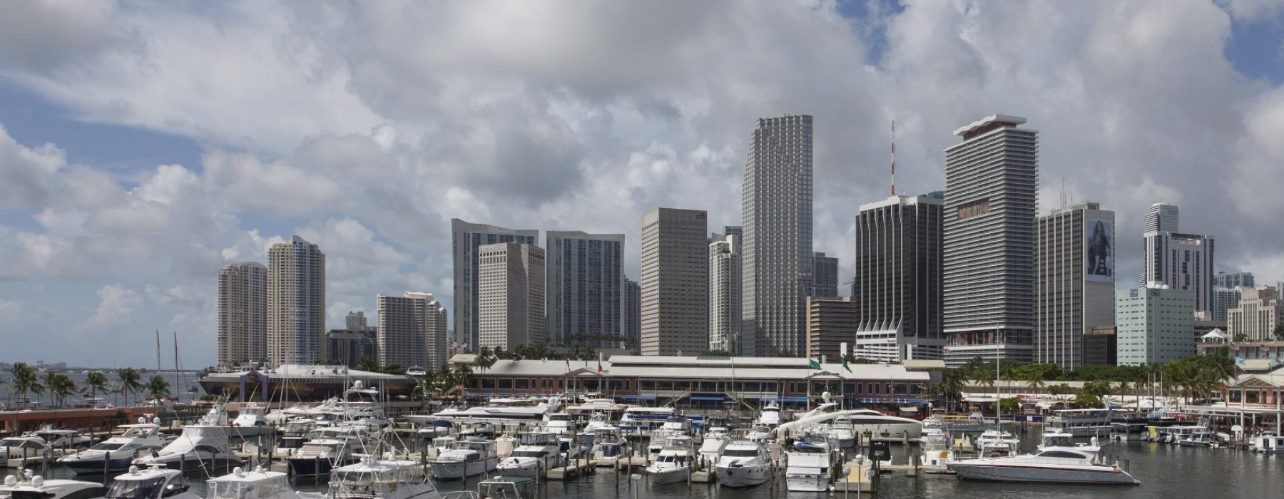 a marina with boats and a city in the background